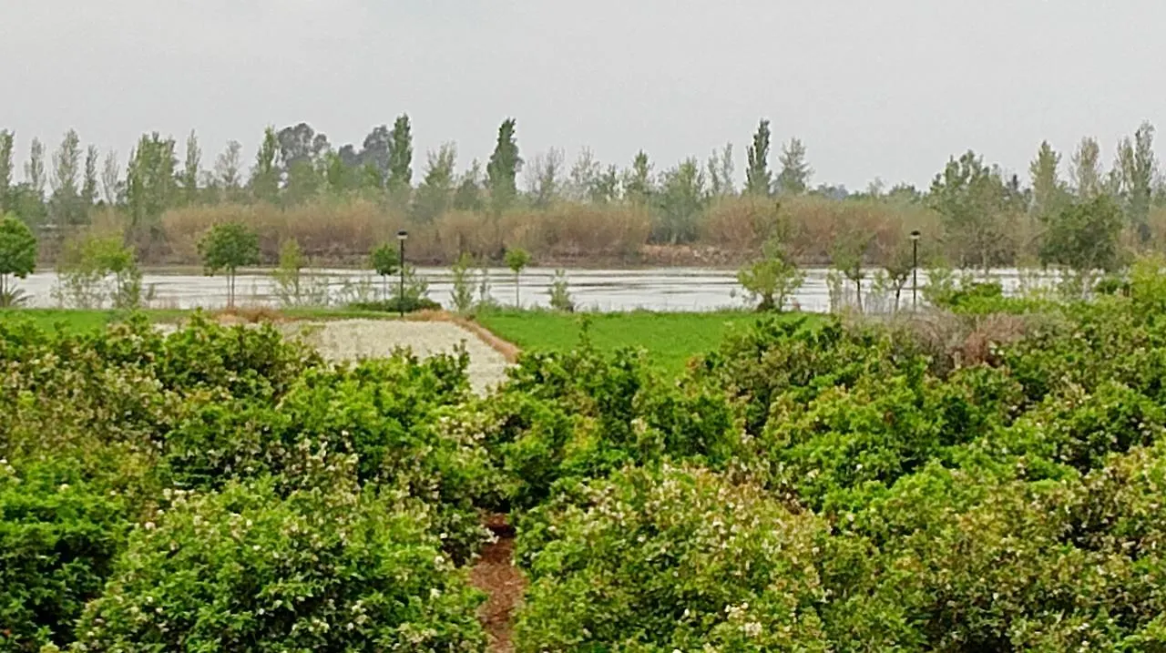 Tatil Evi La Caseta Del Pitxo Deltebre